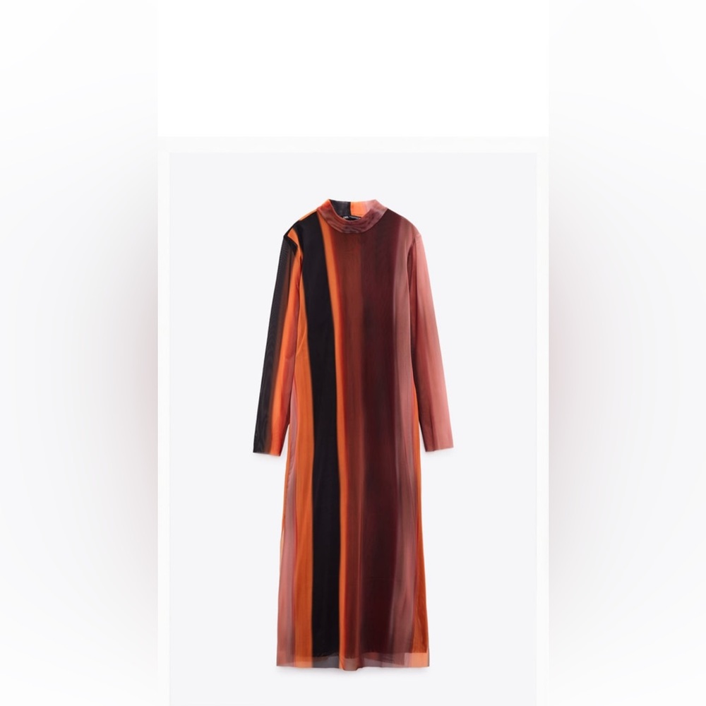 Zara Printed Tulle Dress
